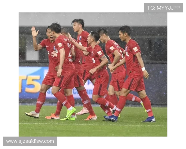 天津天海足球队在中超联赛的球员名单分析